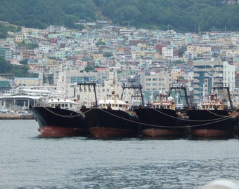 Jagalchi Market/Busan Harbor