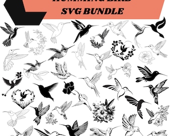 Hummingbird SVG Bundle: Birds clipart,flowers,Cut Files for Cricut(Digital Download)