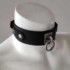 Peut inclure: Collier en cuir noir avec un anneau et des accessoires en métal argenté. Le collier est fixé avec une boucle et deux rivets argentés. Le collier est présenté sur un mannequin blanc.
