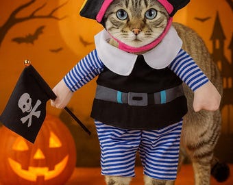 Könnte beinhalten: Eine getigerte Katze in einem Piratenkostüm, komplett mit schwarzem Hut mit Totenkopf, gestreiftem Hemd und Hose sowie einer kleinen Flagge. Ein geschnitzter Kürbis und ein Halloween-Hintergrund vervollständigen die Szene.
