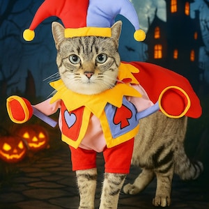Puede incluir: Un gato atigrado disfrazado con un colorido traje de bufón para Halloween. El disfraz incluye un sombrero rojo y azul, un cuello amarillo y pantalones rojos. El fondo presenta una escena espeluznante con una casa embrujada, calabazas y una luna llena.