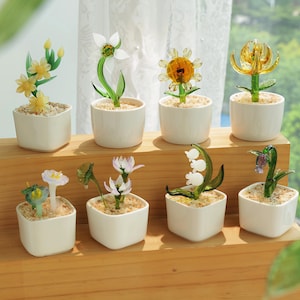 Puede incluir: Una colección de esculturas de flores de vidrio en pequeñas macetas cuadradas blancas. Las flores son de varios colores, incluyendo amarillo, blanco y morado. Las macetas están llenas de pequeños guijarros. El arreglo se exhibe en una estantería de madera.