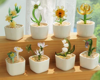 Plantas en macetas de vidrio soplado a mano - Flores de nacimiento en macetas de vidrio