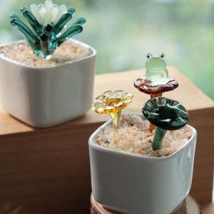 Pode incluir: Duas floreiras quadradas de cerâmica branca, uma com uma suculenta de vidro e a outra com figuras de cogumelos e rãs de vidro. A arte em vidro apresenta tons verdes, amarelos e laranja, num fundo de pequenas pedras claras.