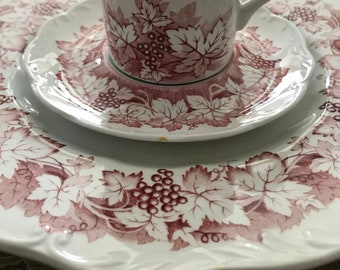 J &G Meakin Vines Dinnerware Vintage Red