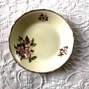 RoyalSwan “ Blossom time”. 7 1/4” Soup Or Serving Bowl Vintage Staffordshire England