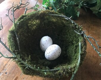 Moss Covered Birds Nest