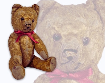 May include: A classic teddy bear with brown fur and a red ribbon. The bear has black eyes and stitched details. A faded, transparent image of the bear's head is in the background, creating a layered effect.