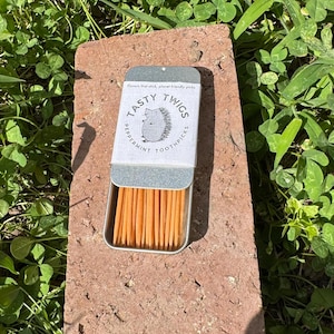 May include: An open metal tin of peppermint toothpicks, labeled "Tasty Twigs," rests on a red brick. The tin features a hedgehog illustration and the text "flavors that stick, planet friendly picks."