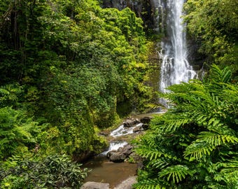 Tropical Waterfall Print | Hawaii Rainforest Landscape Photography