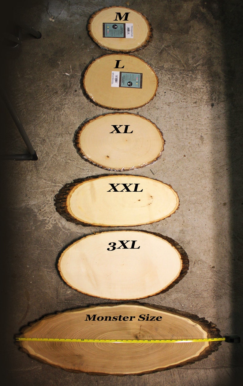 Tree Swing Country Design: Wood slice rustic theme wedding guest books. Personalized image 5
