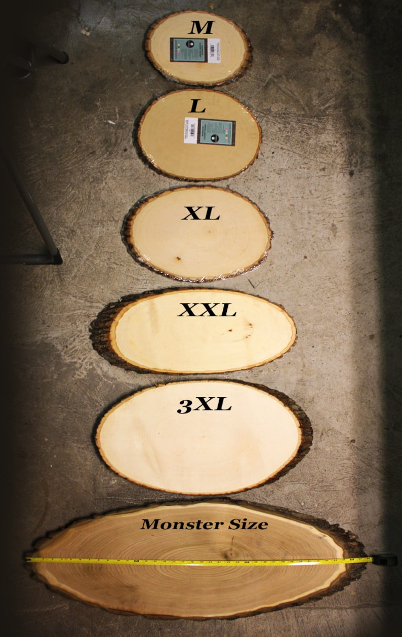 Bee Hive Design: Wood slice rustic theme wedding guest books. Personalized image 5