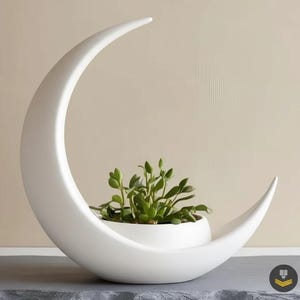 Puede incluir: Una maceta de cerámica blanca con forma de media luna que contiene una pequeña planta verde. La maceta tiene un diseño liso y curvado y se encuentra sobre una superficie gris oscuro. El fondo es de color beige neutro.