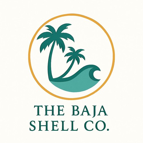 Baja Shell BajaShellCo - Etsy