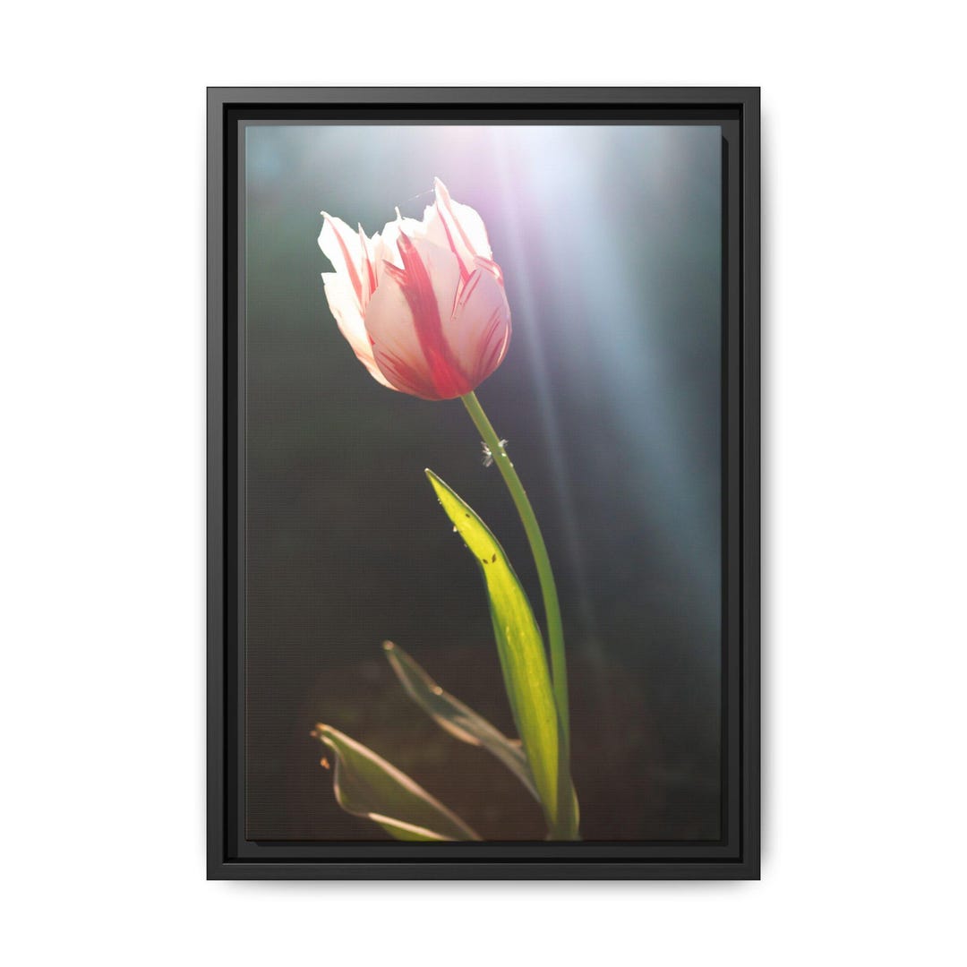 Pink Tulip Floral Photography Matte Canvas Framed | Vertical Wall Art ...