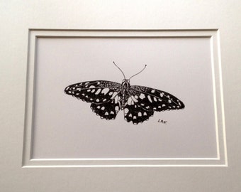 Original Butterfly art, pen and ink prints, Original Drawing,Black and white butterfly 5x7. black pen and ink drawing