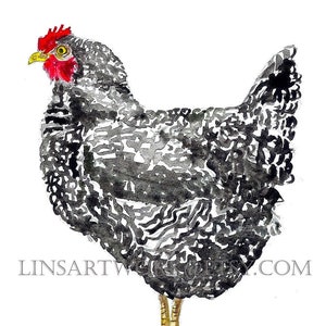 Downloadable Domenique Hen Print,Chicken print,Pen and Ink Drawing of a Domenique Hen,black and white chicken art,chicken prints, Hen prints
