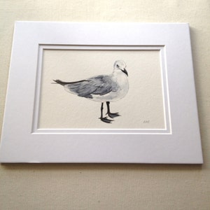 Seagull art, Seagull prints,Original watercolor painting, 5&quot; x 7&quot; -  Seagull, sea birds, seashore, beach shorelife