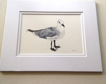Seagull art, Seagull prints,Original watercolor painting, 5" x 7" -  Seagull, sea birds, seashore, beach shorelife