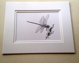 Original Dragonfly art,Insect art, Original Drawing ,Dragonfly feeding,black pen and ink, Insects. Bug Art, Dragonfly art