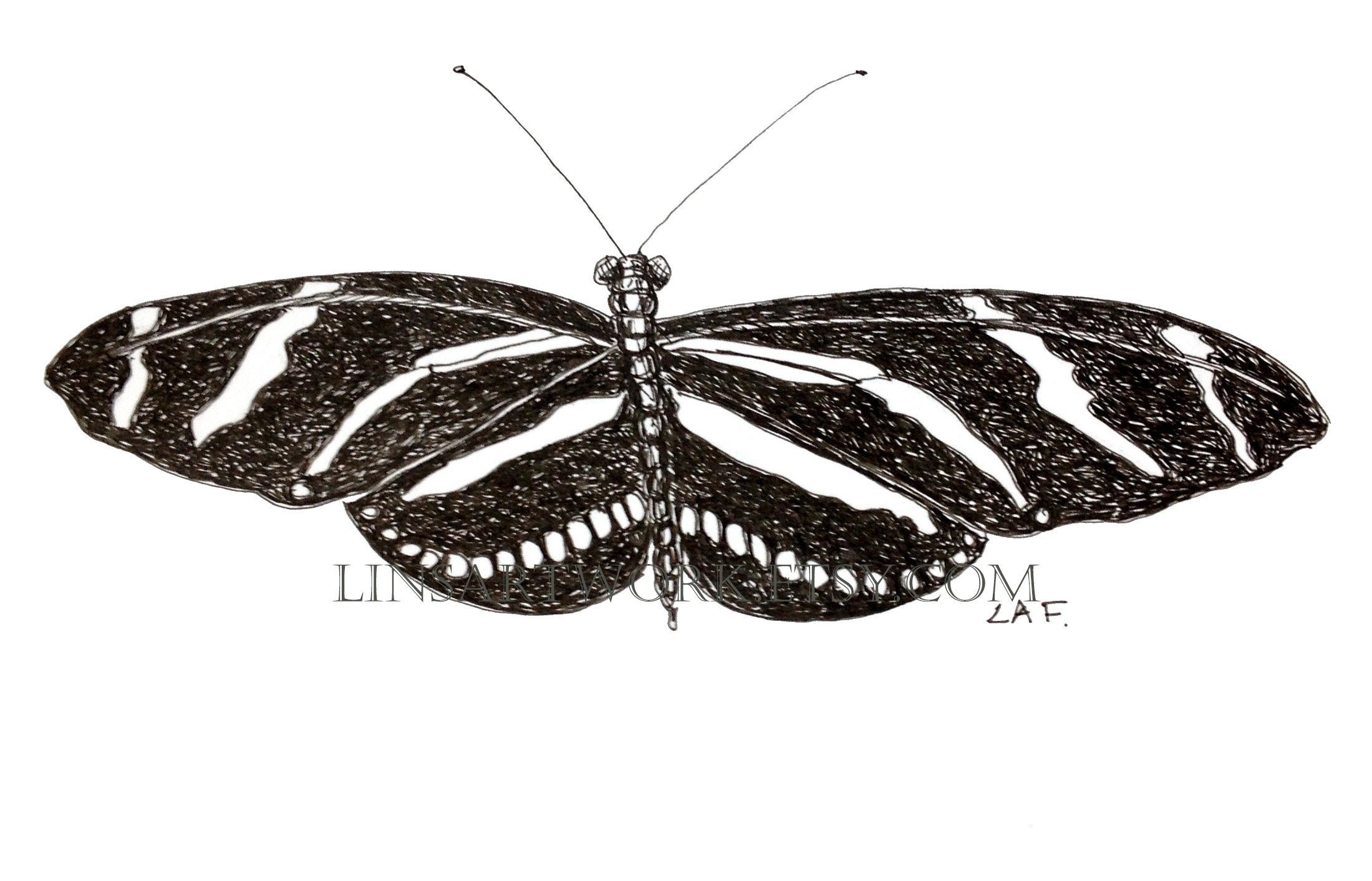 Downloadable Zebra Butterfly Print, Black and White Butterfly Print,pen