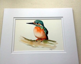 Kingfisher art, Original kingfisher, watercolor birds ,Kingfisher water bird. Watercolor 5 x 7.tropical birds