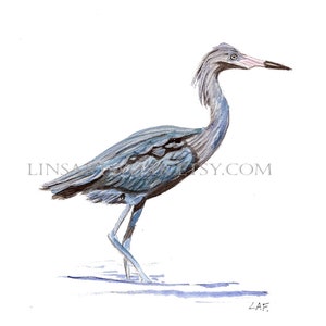 Downloadable Blue Heron Print , Heron bird print, Pen and Ink digital prints, bird image,Blue Heron prints,digital,prints for bird lovers