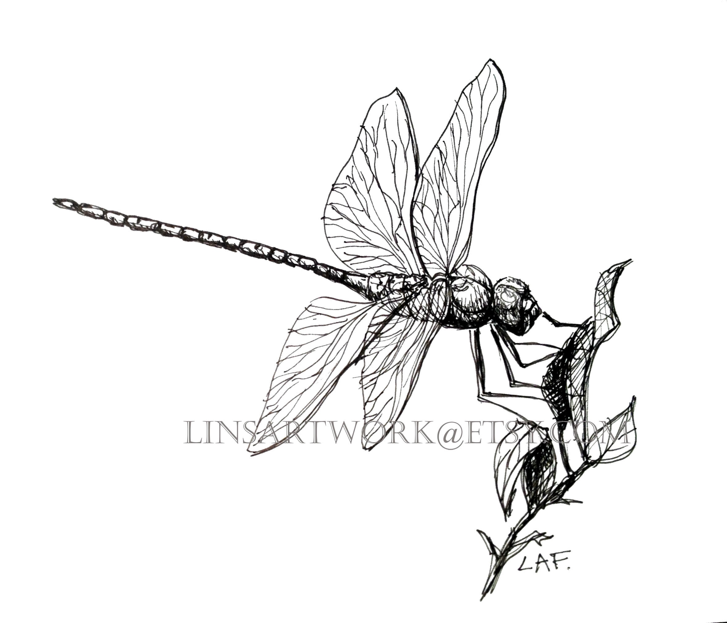 Downloadable Dragonfly Print Dragonfly Print Pen and pic