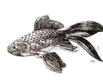 Downloadable goldfish Print, goldfish print,Pen and Ink Drawing of a turtle, goldfish artwork,pen and ink art, fish prints