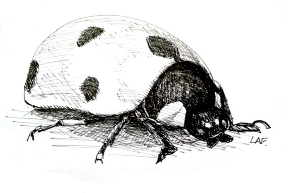 Owady Sztuki Druk Biedronki Oryginalny Rysunek Limitowana Edycja Print Biedronka Czarny Długopis I Atrament Pen Art