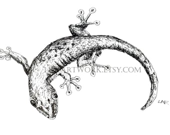Downloadable Gecko Print,Gecko print,Pen and Ink Drawing of a Gecko, bug artwork,pen and ink art, insect prints