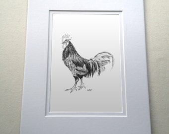 Andalus Rooster, chicken art, chicken artwork, farm birds. rooster art, black and white rooster art, pen and ink chicken art, Free Shipping