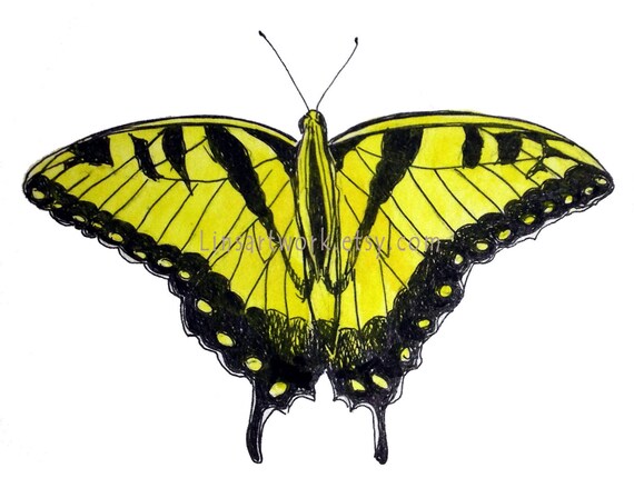 Tiger Swallowtail Art Butterfly Yellow And Black Insects Etsy