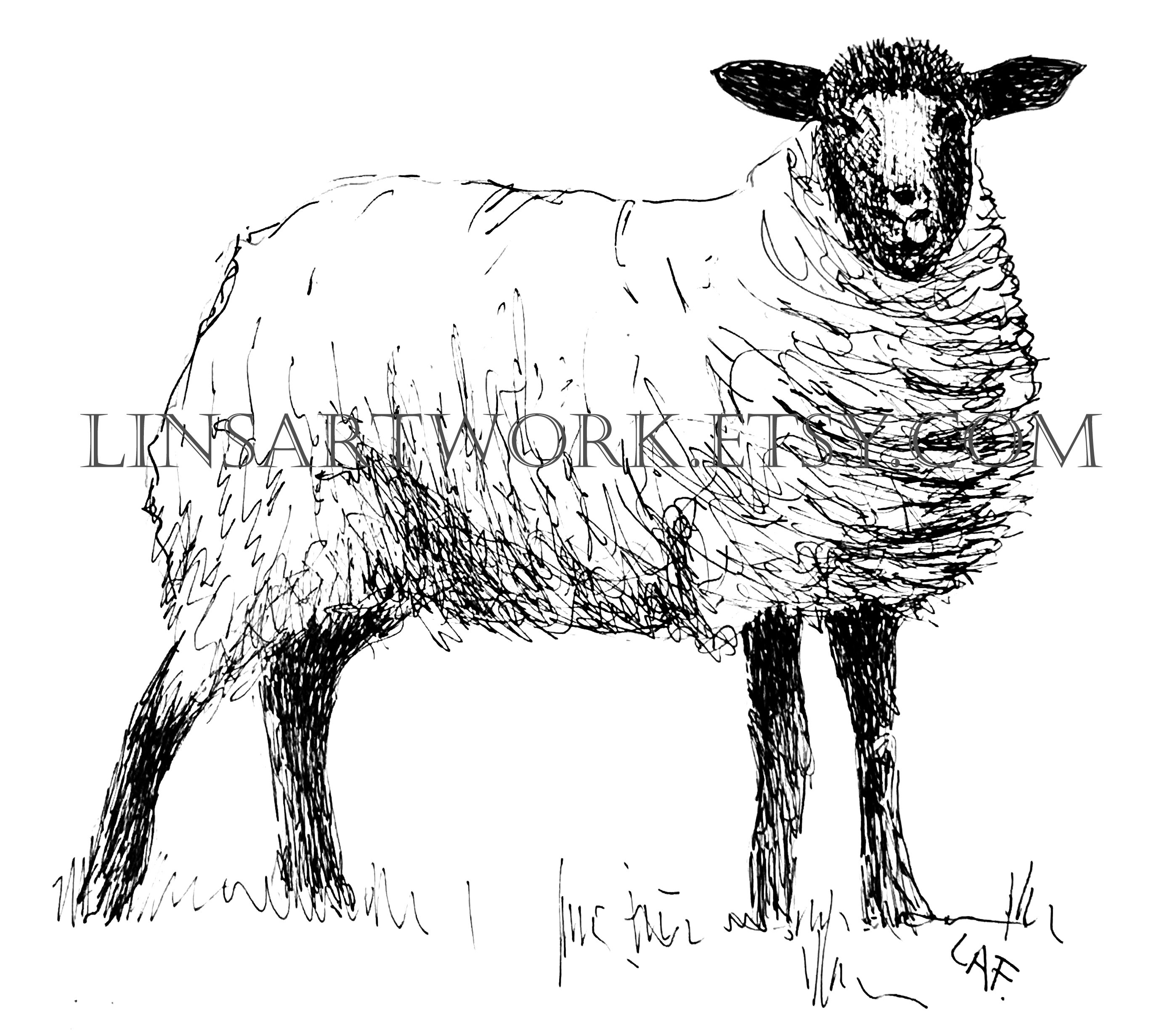 Downloadable Sheep Print , Sheep Print, Pen and Ink Digital Prints