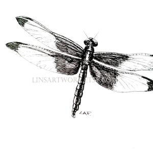 Downloadbare Dragonfly Print, Dragonfly print, Pen en Inkt Tekening van een libel, bug artwork, pen en inkt kunst, insectenprints