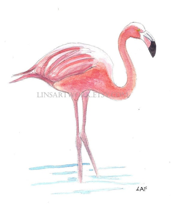 フラミンゴ 日本画 フラミンゴの水彩画 熱帯鳥アート デジタル