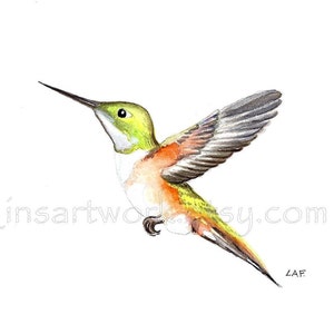Hummingbird Original art, hummingbird painting, Watercolor. Tropical Birds, Original watercolor,Hummingbird painting. Bird Art.. 5x7 image 2