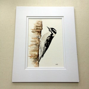Downy Woodpecker,Forest bird, art. bird prints,Original watercolor , 5 x 7&quot; matted. woodland birds