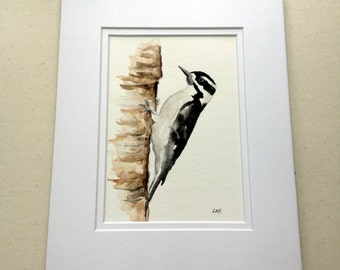 Downy Woodpecker,Forest bird, art. bird prints,Original watercolor , 5 x 7" matted. woodland birds