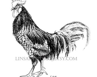 Andalusian Rooster, chicken art, chicken print, farm birds. black and white rooster art, pen and ink chicken art,Andalusian Rooster prints