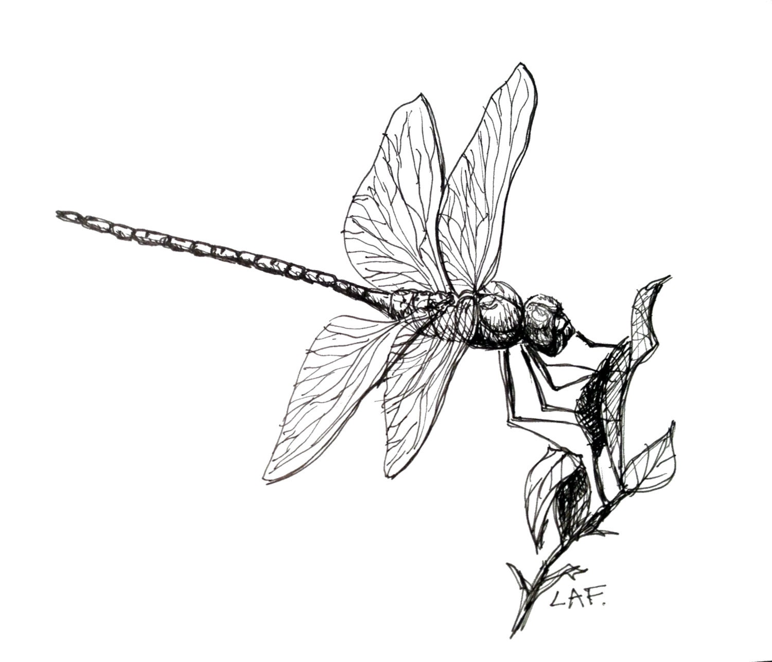 Dragonfly artInsect art Original Drawing Dragonfly | Etsy