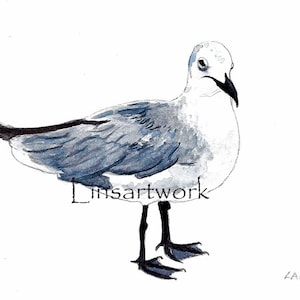 Downloadable Seagull print,Pen and watercolor painting of a seagull, bird art,bird prints, Seagull Art. beach bird art