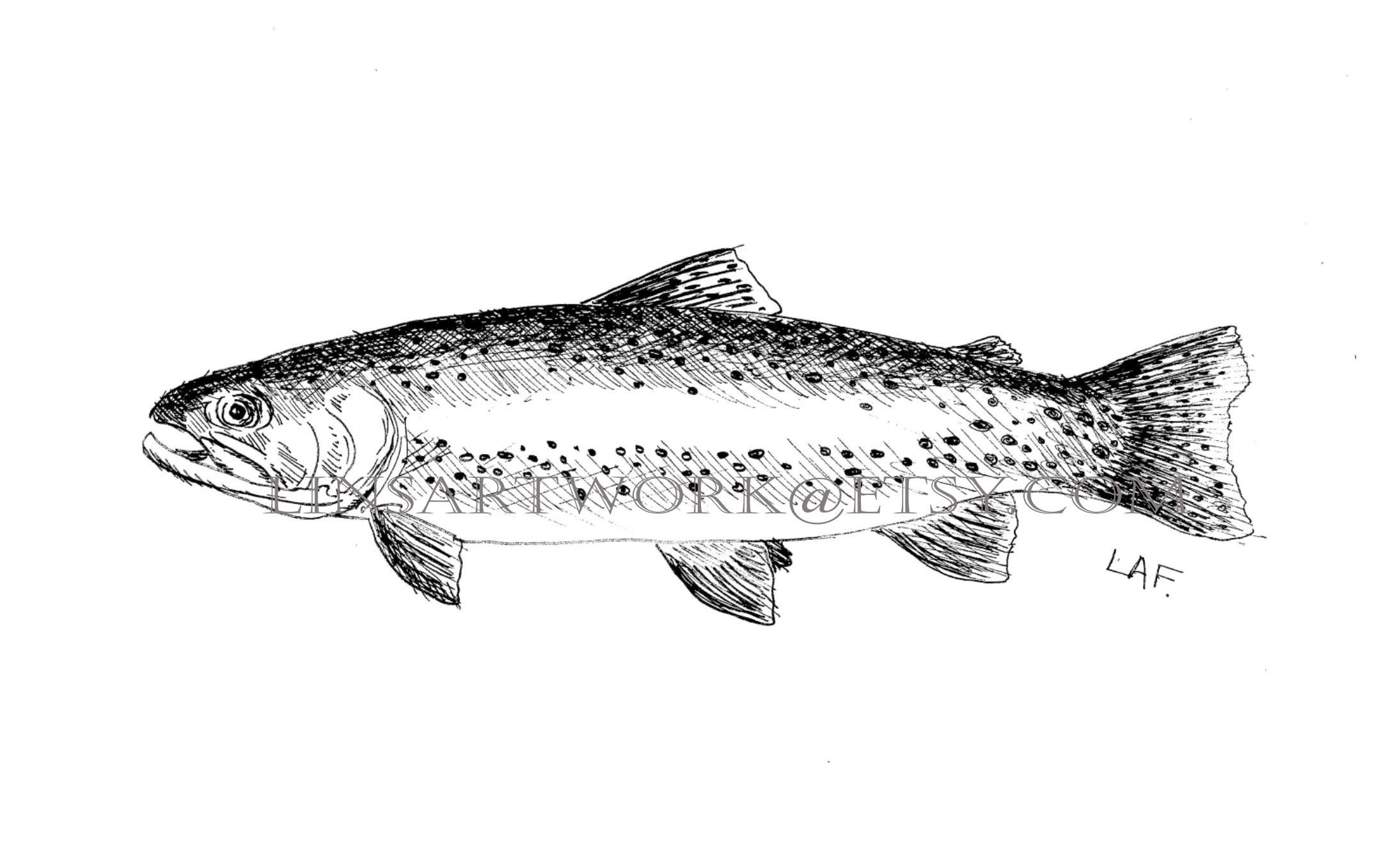 Downloadable Trout Print, Trout Print,pen and Ink Drawing of a Trout