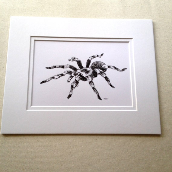 Tarantula Ink Painting