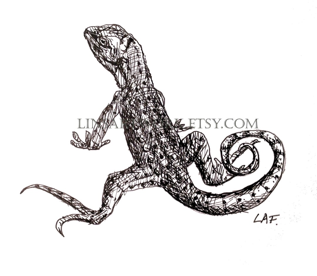Lizard Pen and Ink Drawing Print (digital Download) - Etsy