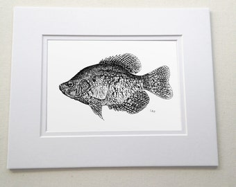 Original Black Crappie print of Drawing,Fish Art,fish drawings,tropical fish art,black and white art,pen and ink drawing.Art for fish lovers
