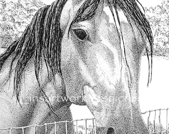 Horse drawings, Original drawing, Pen and Ink Drawing of Horse .  Custom Portraits available. personal custom art