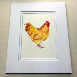 Buff Orpington Rooster chicken art. chicken paintings,rooster art,farm bird art,buff rooster artwork. buff rooster,yellow chickens, bird art