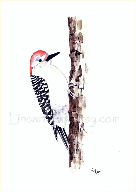 Watercolor Red Headed Woodpecker Print Artist Eric Sweet