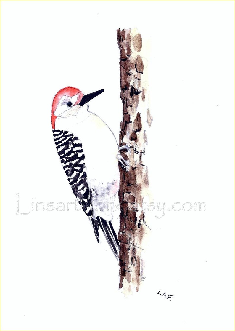 Woodpecker Watercolor Art. woodpecker Original watercolor, Red headed Woodpecker. 5x7, bird art, image 2